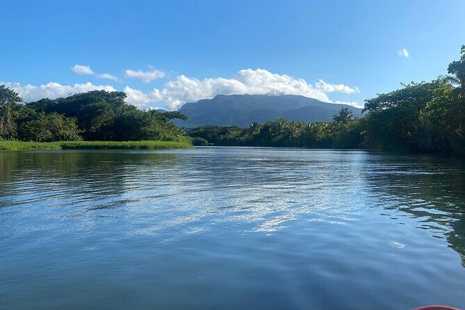 Rainforest Kayak Tour - Why It’s a Great Choice