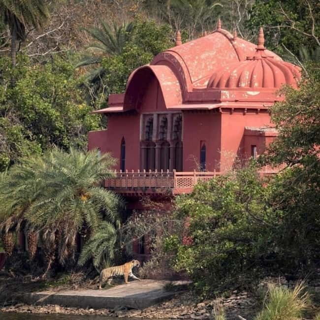 Ranthambhore: Ranthambhore Tiger Reserve Booking - What To Expect on Your Ranthambore Safari