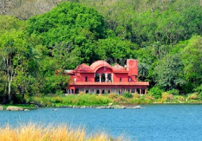 Ranthambore: Fort , Ganesh Temple, Padam Lake Tour - The Wildlife and Scenic Views at Ranthambore National Park