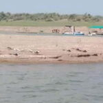 Ranthambore Gharial Sanctuary and Chambal Safari by boats. - Who Will Love This Experience?