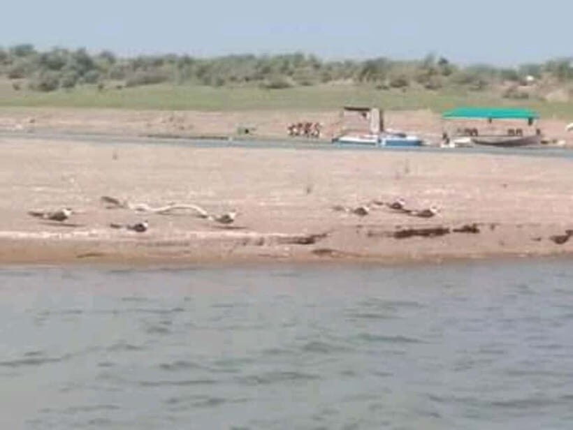 Ranthambore Gharial Sanctuary and Chambal Safari by boats. - Who Will Love This Experience?