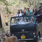 Ranthambore National Park 20 Seater Canter Safari Booking - FAQ