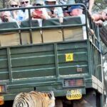 Ranthambore National Park 20 Seater Canter Safari Booking - Who Should Consider This Safari?