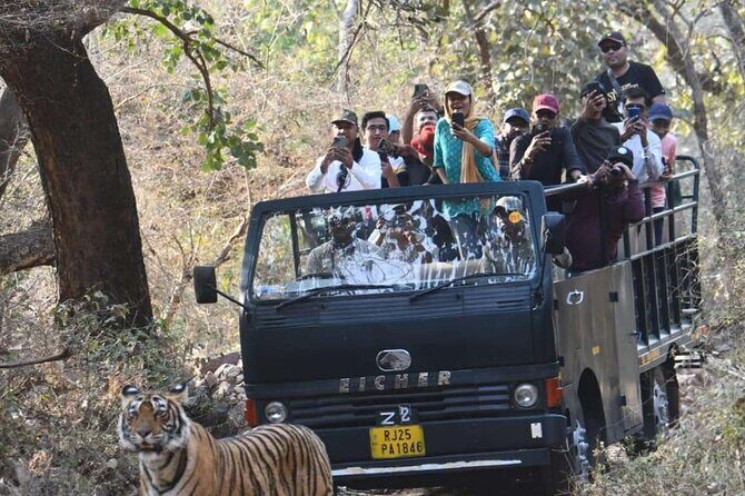 Ranthambore National Park 20 Seater Canter Safari Booking - FAQ