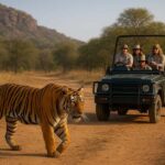 Ranthambore National Park: canter safari ticket with guide - Who Should Consider This Tour?