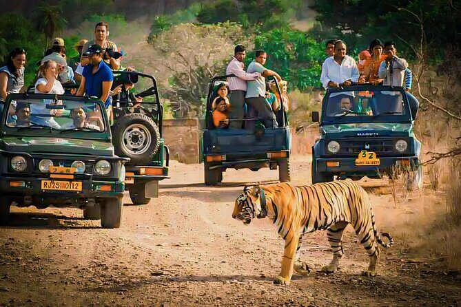 Ranthambore National Park Private Jeep Safari All inclusive - The Experience at a Glance