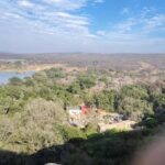 Ranthambore Tiger Reserve: jeep & canter Safari booking now - The Experience in Detail