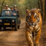 Ranthambore Tiger Safari in Open canter with Wildlife Guide - Practical Details That Matter