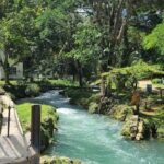 Rastasafari Experience ATV Adventure and Local Day Out - Authenticity and Personal Touches Highlighted by Reviewers