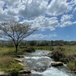 Rastasafari Experience in an ATV from Montego Bay with Lunch - Who Will Love This Tour?