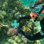 Reef Exploration with Reva Atea participatory science - What to Expect on the Tour