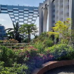 Relishing Singapore: A Cultural Street Food Journey - What You Can Expect from the Experience