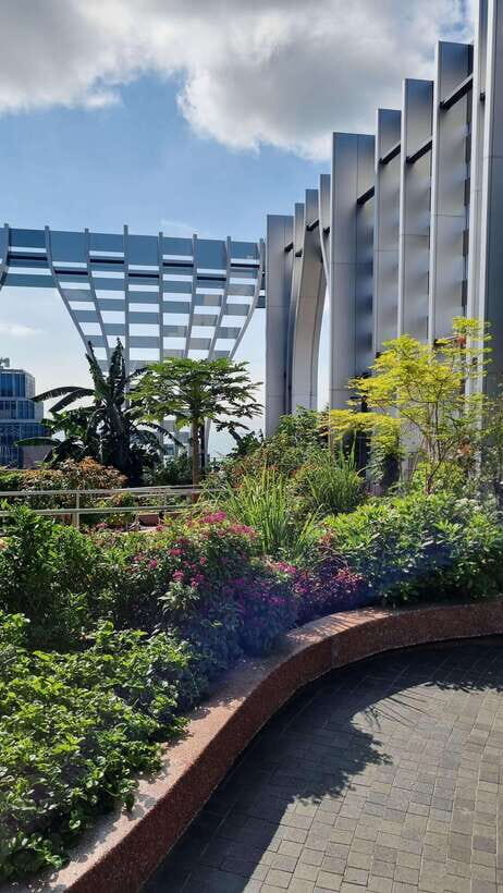 Relishing Singapore: A Cultural Street Food Journey - What You Can Expect from the Experience  