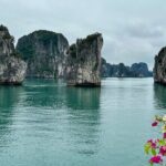 Renea Cruise Best Boutique Cruise 2 Days 1 Night in Bai Tu Long - Day 2: Sunrise Serenity and Cultural Exploration