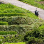 Rental Motorcycle Tour in Kyoto: Arashiyama & West Temple - Practical Details and What to Expect