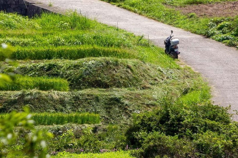Rental Motorcycle Tour in Kyoto: Arashiyama & West Temple - Practical Details and What to Expect