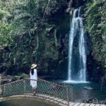 Rice Terrace, Temple, Ulu Petanu Waterfall with Pro Photographer - Authentic Experiences and Unique Highlights