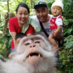 Rice terrace tour and Ubud area tour - Real Insights from Reviews