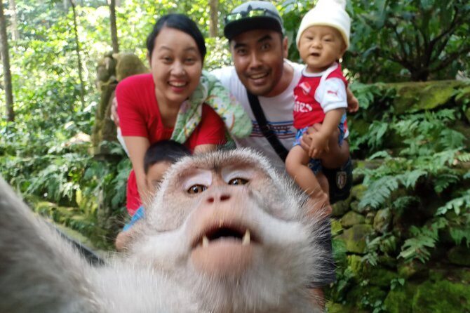 Rice terrace tour and Ubud area tour - Real Insights from Reviews