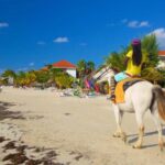 Ricks cafe & 7mile Beach Private Tour from Montego Bay. - Transport and Timing: How the Details Matter