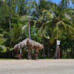 Rio grande & Luquillo Jet Ski Tour - Final Thoughts