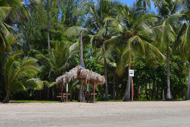 Rio grande & Luquillo Jet Ski Tour - Final Thoughts