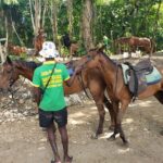Rio Nuevo Jamaica Private Rafting Horse Ride Adventure - The Sum Up