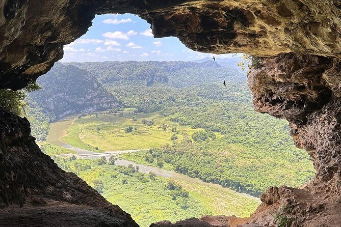 Rio Tanama City Tour with Car Transportation - Who Will Love This Tour?