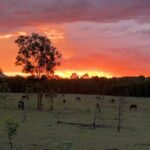 Rise and Shine 75 Minutes Early Morning Ride - What the Experience Is Not