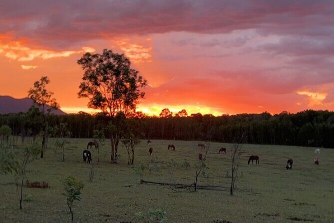 Rise and Shine 75 Minutes Early Morning Ride - What the Experience Is Not