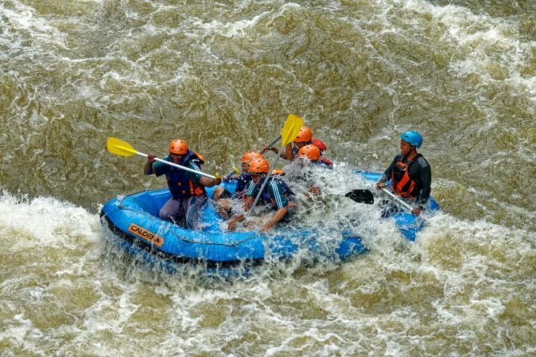 Rishikesh: Ganges River Rafting Adventure - Overview of the Ganges River Rafting Adventure