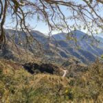 Rishikesh: Kunjapuri Temple Trek with Guide - Detailed Breakdown of the Itinerary