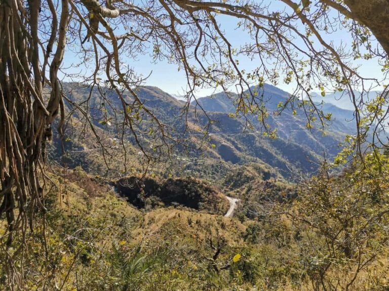 Rishikesh: Kunjapuri Temple Trek with Guide - Detailed Breakdown of the Itinerary