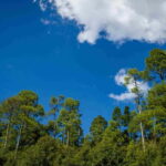 Rishikesh: Neelkanth Mahadev Guided Trek - What to Expect on the Day of the Trek