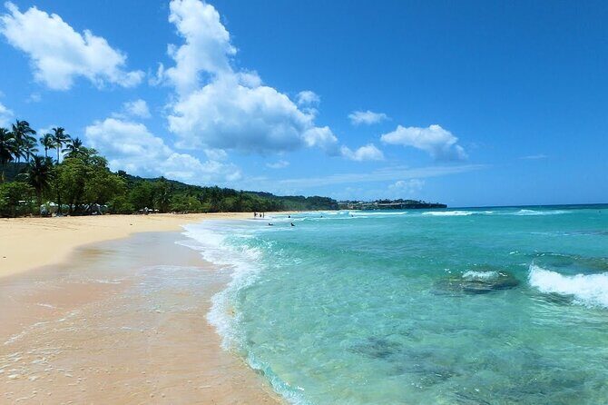 Riu Hotel Puerto Plata- Gregorio Luperon Airport - Why Choose This Shuttle?