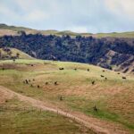 River Valley Lodge: High Country Enchantment Horse Trek - Good To Know