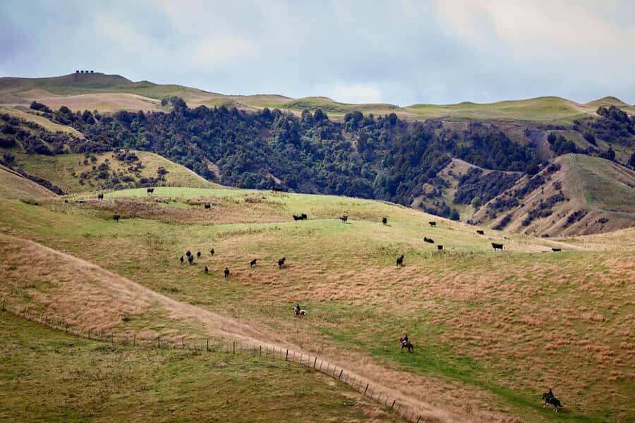 River Valley Lodge: High Country Enchantment Horse Trek - Good To Know