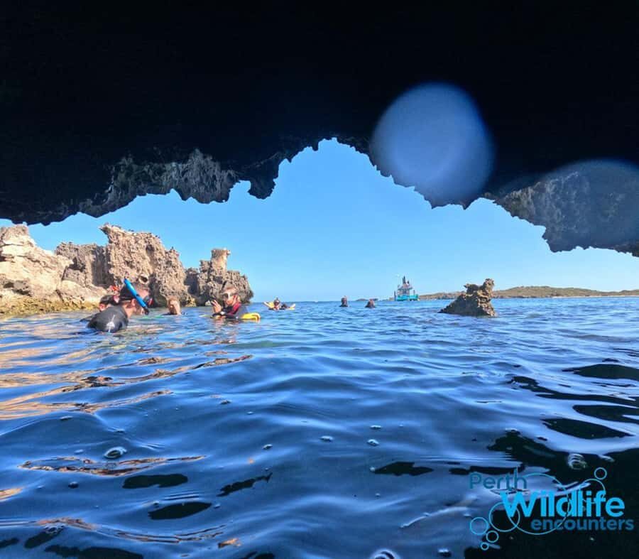 Rockingham: 3 Island Wildlife Snorkeling Cruise with Lunch - Why This Tour Offers Value