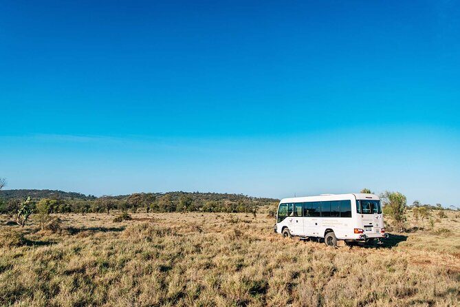 Roma: Landscape and Legacy Day Tour Including Lunch - Picnic at Mount Abundance: Views, Wildlife, and Iconic Flora