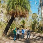 Roma: Lost World Carnarvons (Wallaroo) Day Tour - Exploring the Carnarvon Range: What’s Included?