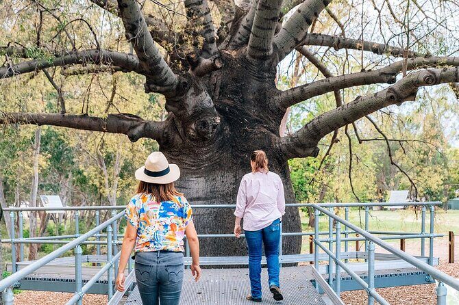 Roma Revelation Tour Experience - Who Will Enjoy This Tour?