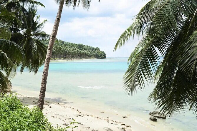 Romantic Nassau: Scenic Tour with Ocean Views & Hidden Gems - Exploring Nassau’s Romantic Highlights in Depth