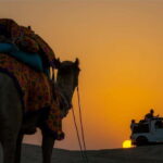 Romantic Overnight Thar Desert Camping Tour - Practical Details & What To Keep in Mind