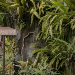 Romantic Ritual Massage - The Setting and Atmosphere