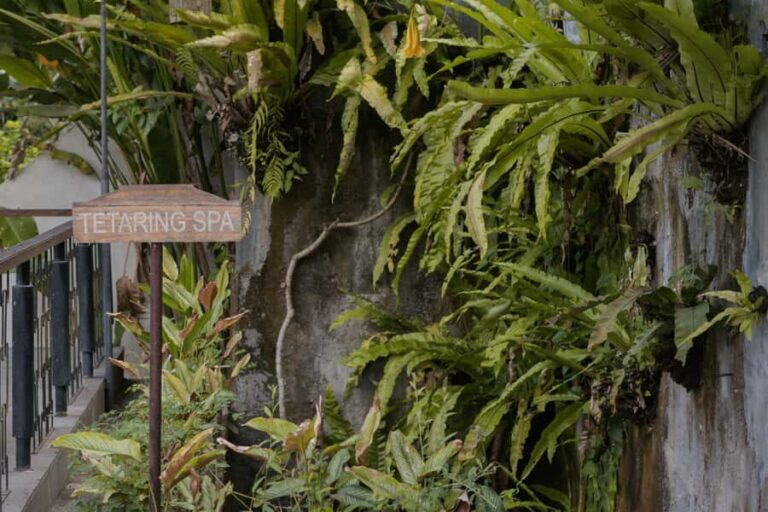 Romantic Ritual Massage - The Setting and Atmosphere