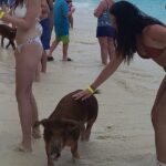 Rose Island 3 Island Luxury Private Tour(8hrs) - The Experience: Why Travelers Keep Coming Back