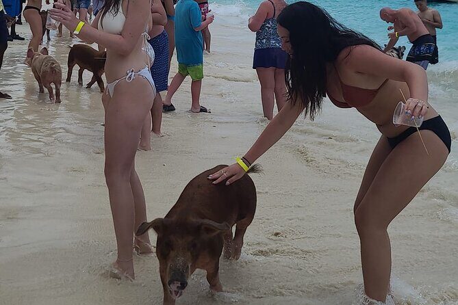 Rose Island 3 Island Luxury Private Tour(8hrs) - The Experience: Why Travelers Keep Coming Back