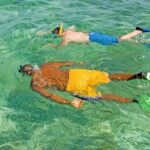 Rose Island Swimming Pigs & Beach Snorkeling Experience Nassau - Insights from Real Reviews
