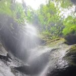 Roseau, Dominica: Rainforest Adventure sport,Waterfall swim - The Experience: An In-Depth Breakdown