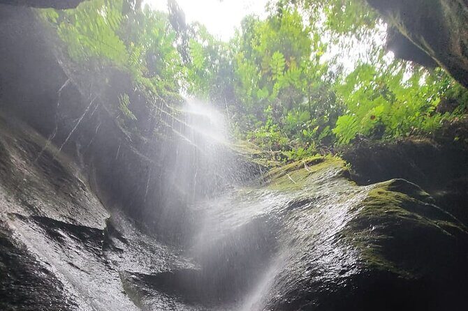 Roseau, Dominica: Rainforest Adventure sport,Waterfall swim - The Experience: An In-Depth Breakdown